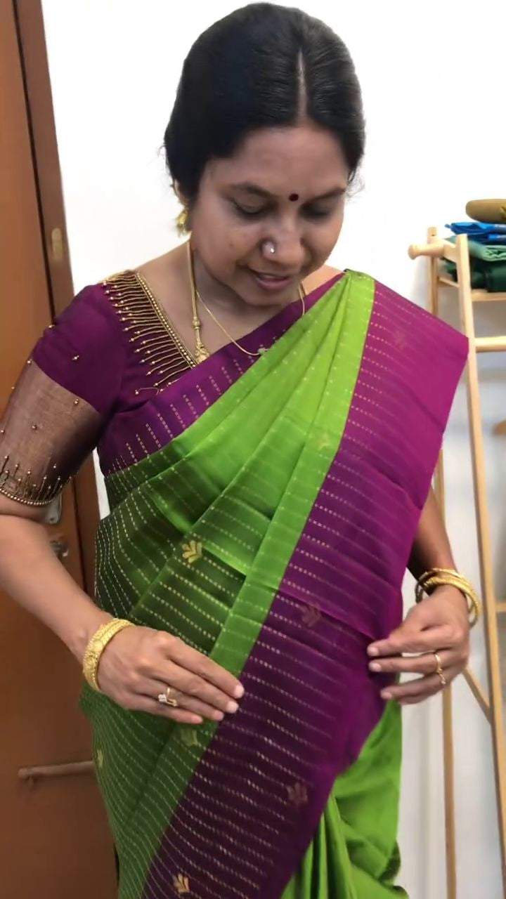 Regal Forest saree