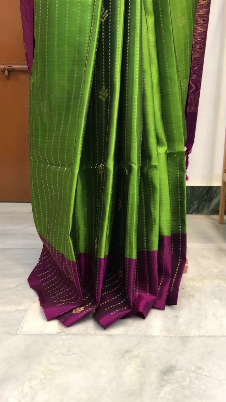 Regal Forest saree