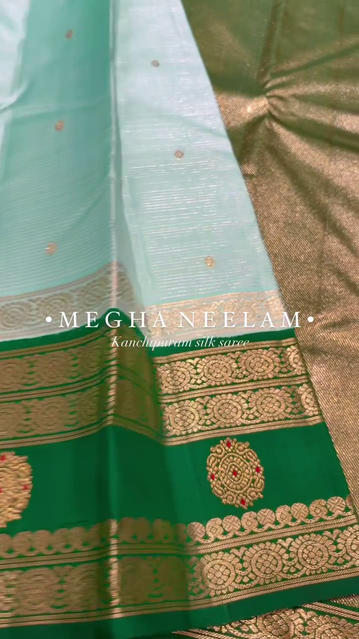 Megha Neelam Kachipuram Silk Saree